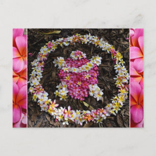 Hawaii Turtle Honu Plumeria Summer Flower Paradise Vykort