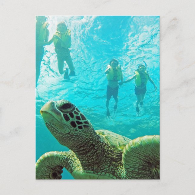 Hawaii Turtle och Snorkelers Vykort (Framsida)