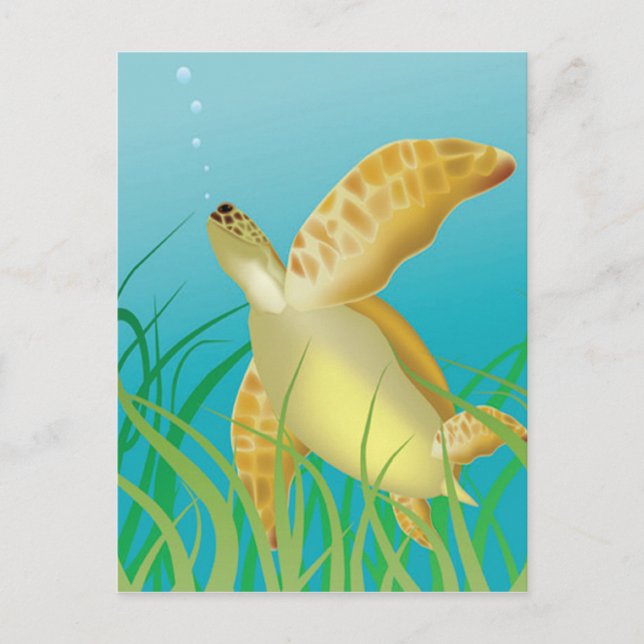 Hawaii Turtle Vykort (Framsida)