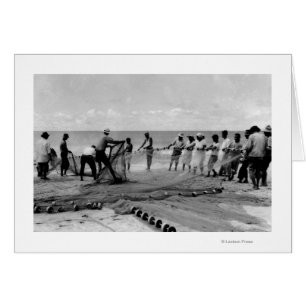 Hawaii - View of Hukilau Nets on Shore Hälsningskort