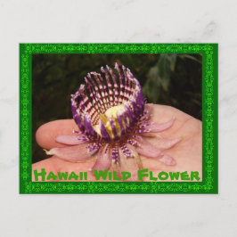 Hawaii Vild Flower Vykort