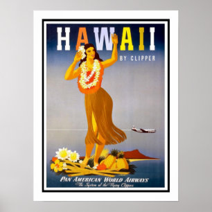 Hawaii vintage resor poster
