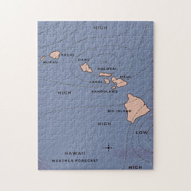Hawaii Vintage väderprognos Pussel (Vertikal)