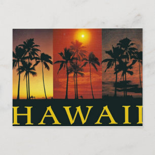 Hawaii Vintage vykort
