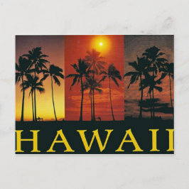 Hawaii Vintage vykort