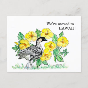 Hawaii Vykort