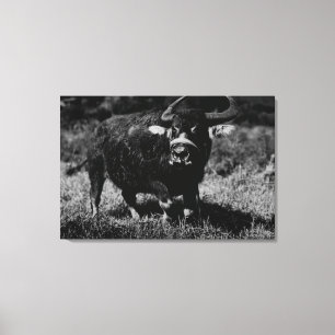 HawaiiA vattenbuffel PhotographHawaii Canvastryck