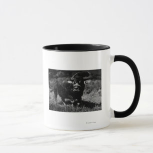 HawaiiA vattenbuffel PhotographHawaii Mugg