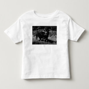 HawaiiA vattenbuffel PhotographHawaii T Shirt