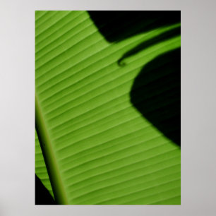 Hawaiian Banana Löv Poster