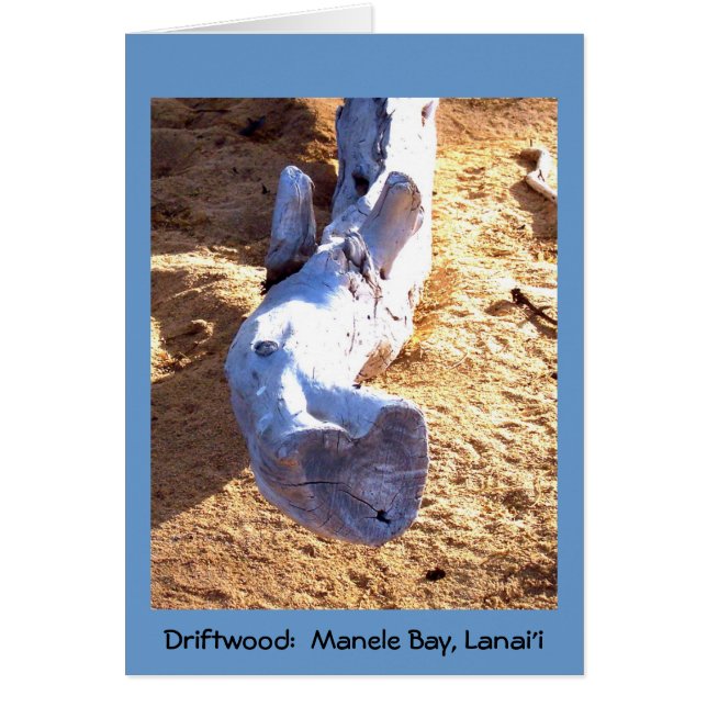 Hawaiian Beach Driftwood Blank Card OBS Kort (Framsidan)