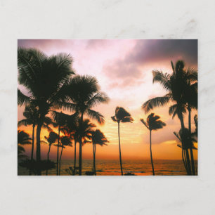 Hawaiian Beach Handflatan Träd Sunset - Hawaii Tra Vykort