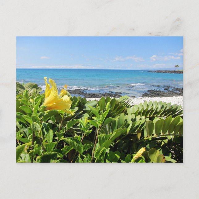 Hawaiian Beach Vykort (Framsida)