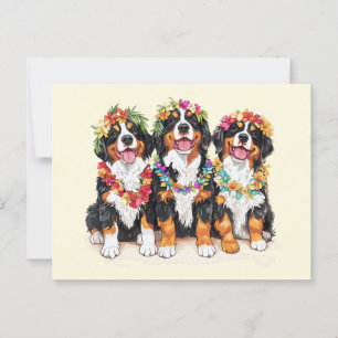Hawaiian Bernese Mountain Hundar Flower Lei Vykort
