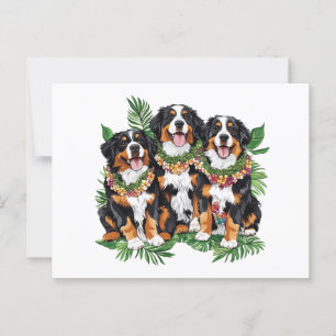 Hawaiian Bernese Mountain Hundar Flower Lei Vykort