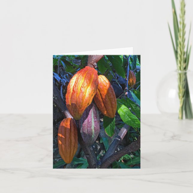 Hawaiian Cacao Kort (Framsida)