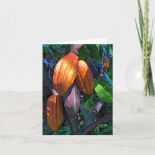 Hawaiian Cacao Kort