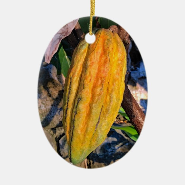 Hawaiian Cacao Pod Julgransprydnad Keramik (Framsidan)