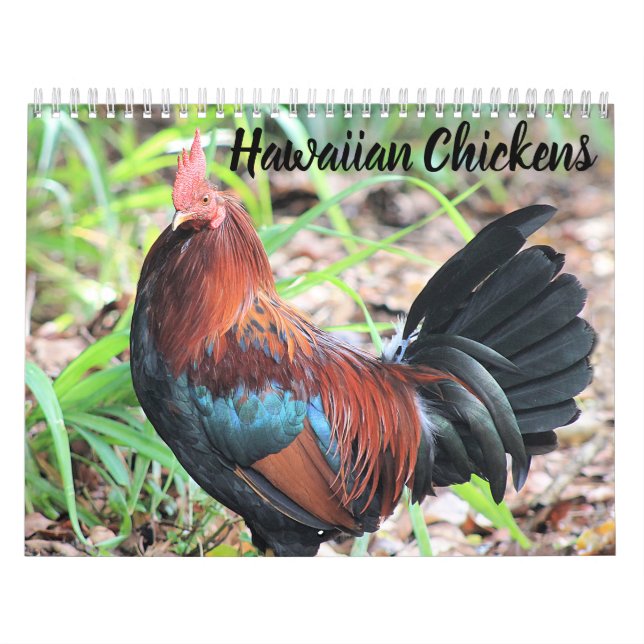Hawaiian Chickens Kalender (Omslag)