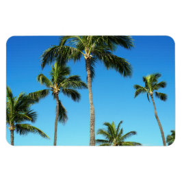 Hawaiian Coconut Träd Photo Magnet