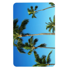 Hawaiian Coconut Träd Photo Magnet