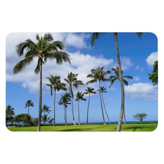 Hawaiian Coconut Träd Photo Magnet (Horisontell)