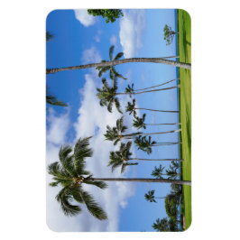Hawaiian Coconut Träd Photo Magnet