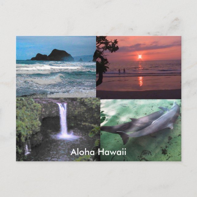 Hawaiian Collection Vykort (Framsida)