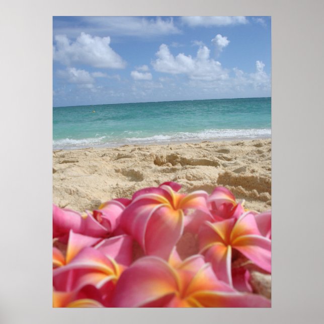 Hawaiian Dayz Poster (Framsidan)