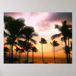 Hawaiian Exotic Beach Handflatan Träd Poster