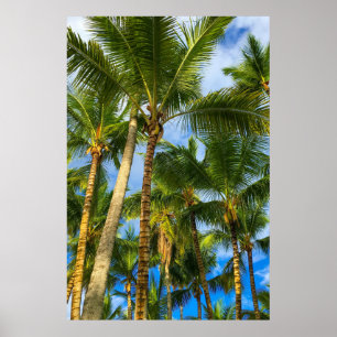 Hawaiian Exotic Beach Handflatan Träd Poster