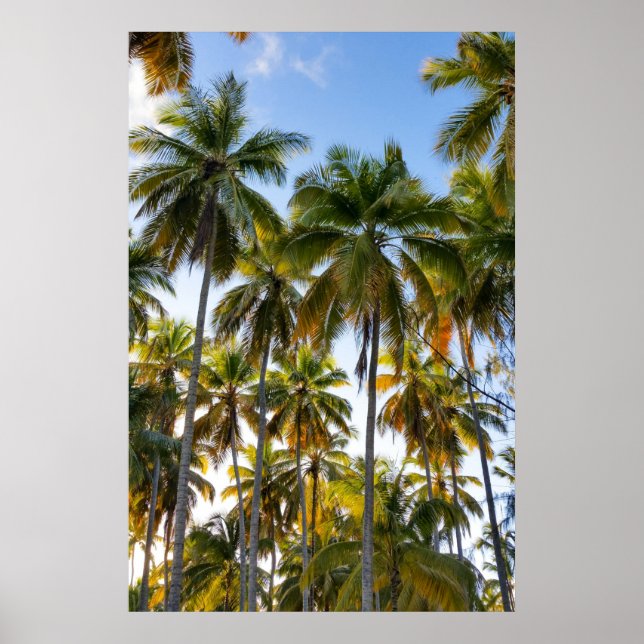 Hawaiian Exotic Beach Handflatan Träd Poster (Framsidan)