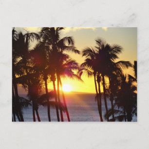 Hawaiian Exotic Beach Handflatan Träd Sunset Vykort