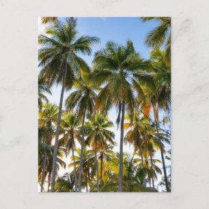 Hawaiian Exotic Beach Handflatan Träd Vykort