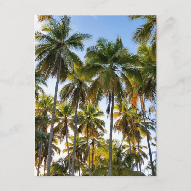 Hawaiian Exotic Beach Handflatan Träd Vykort (Framsida)