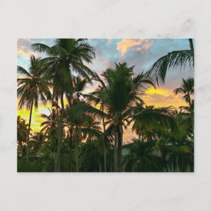 Hawaiian Exotic Beach Handflatan Träd Vykort