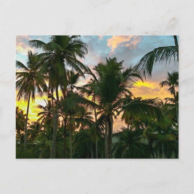 Hawaiian Exotic Beach Handflatan Träd Vykort (Framsida)