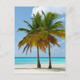 Hawaiian Exotic Beach Handflatan Träd Vykort