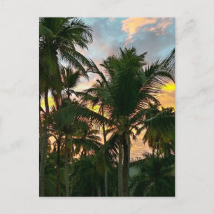 Hawaiian Exotic Beach Handflatan Träd Vykort