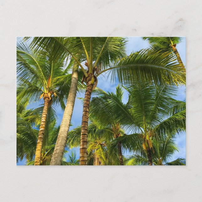 Hawaiian Exotic Beach Handflatan Träd Vykort (Framsida)