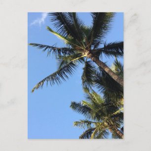 Hawaiian Exotic Beach Handflatan Träd Vykort