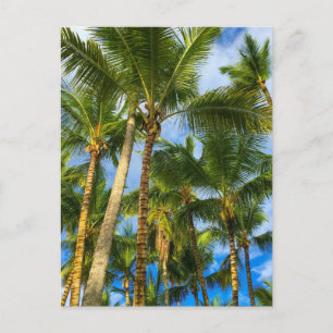 Hawaiian Exotic Beach Handflatan Träd Vykort