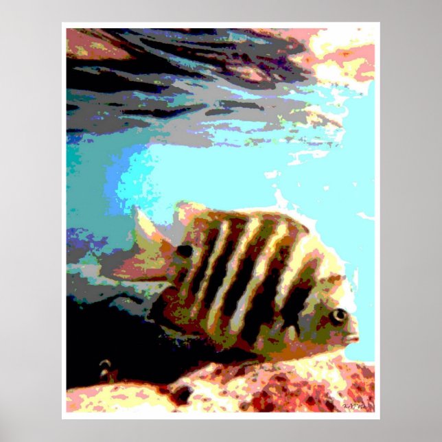Hawaiian Fish Poster (Framsidan)