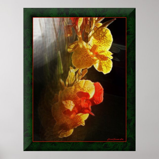 Hawaiian Flame Flowers Poster (Framsidan)