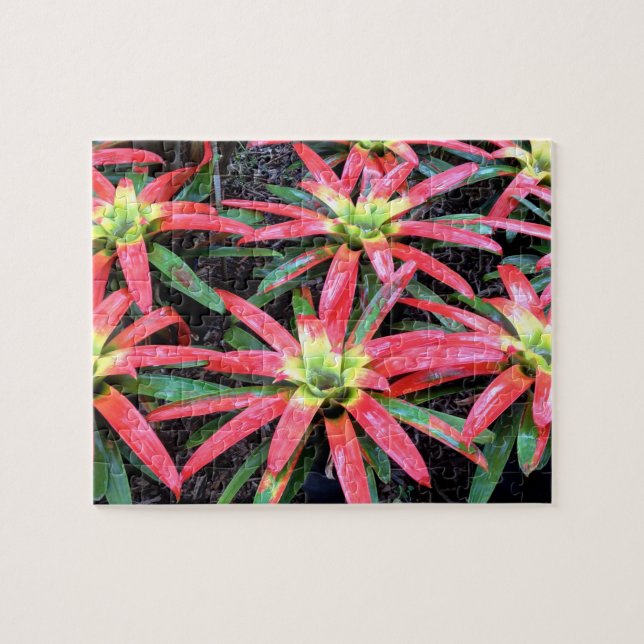 Hawaiian Flower Puzzle Pussel (Horisontell)