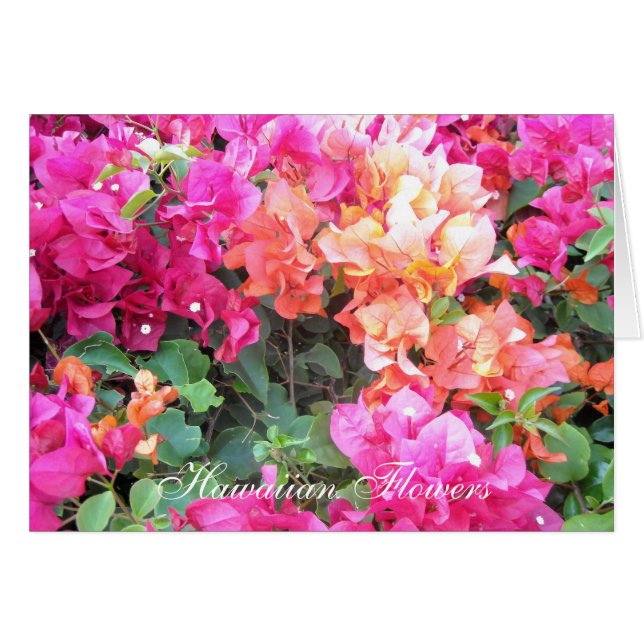 Hawaiian Flowers Hälsningskort (Framsidan Horizontal)