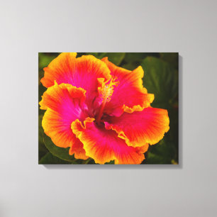 Hawaiian Fuchsia Hibiscus från Kauai Photograph Canvastryck