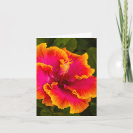 Hawaiian Fuchsia och Orange Hibiscus Anteckningskort