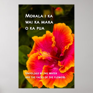 Hawaiian Fuchsia och Orange Hibiscus Motivational Poster