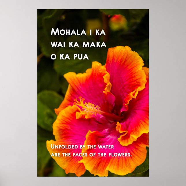 Hawaiian Fuchsia och Orange Hibiscus Motivational Poster (Framsidan)